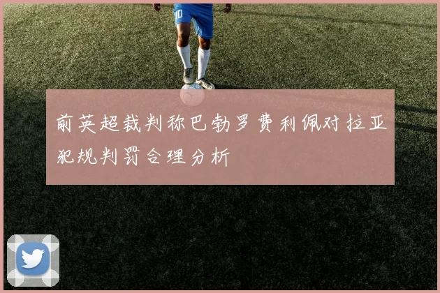 前英超裁判称巴勃罗费利佩对拉亚犯规判罚合理分析
