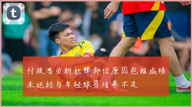 付政浩分析杜锋卸任原因包括成绩未达标与年轻球员培养不足
