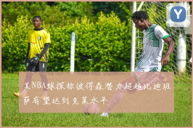 某NBA球探称彼得森潜力超越比迪班萨有望达到克莱水平